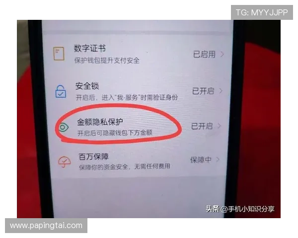 提升BG视讯登录入口安全性的方法及账号信息保护建议