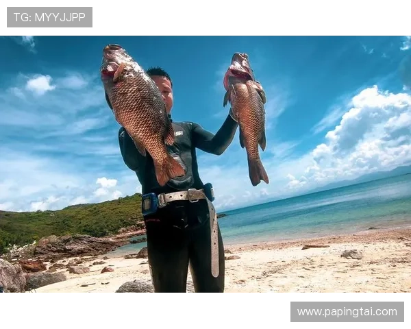 深入了解PA捕鱼的玩法优化策略，让你的每一次捕鱼都收益满满