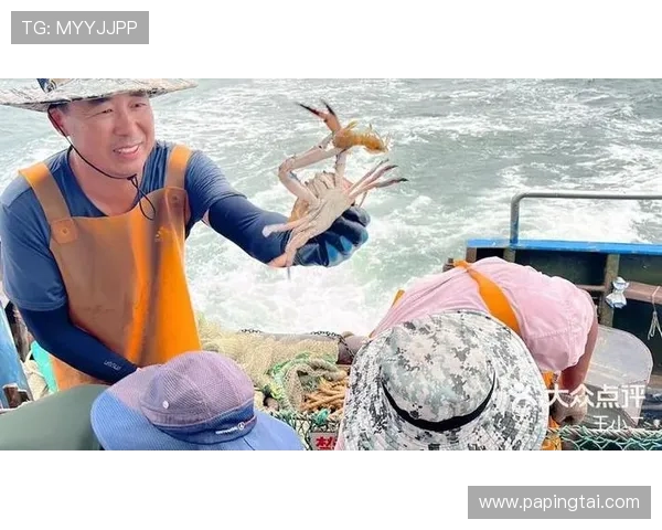 掌握PA捕鱼王技巧提升捕鱼效率实现高分的实用方法