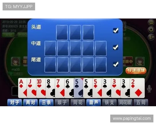 凯发十三水新手入门指南从零开始学会快速上手技巧