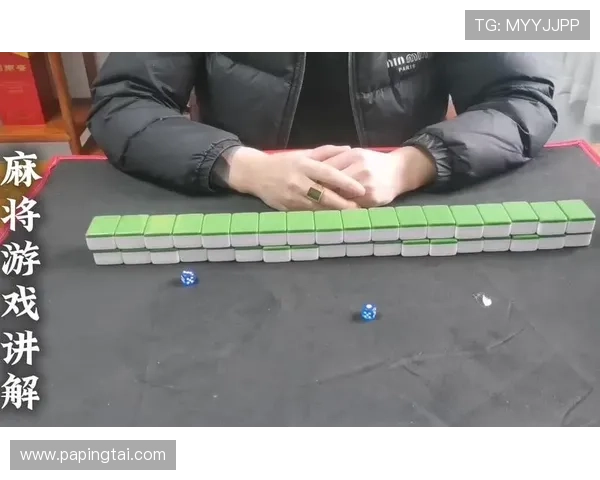 二八杠玩法大全最新版本，丰富玩法规则助你成为游戏高手